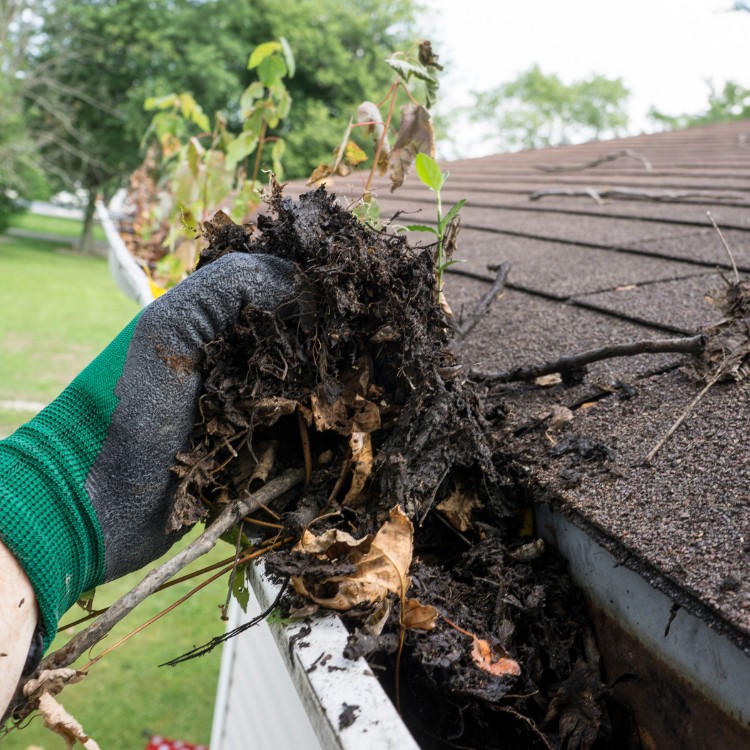 Window Cleaning in Clovis, CA
